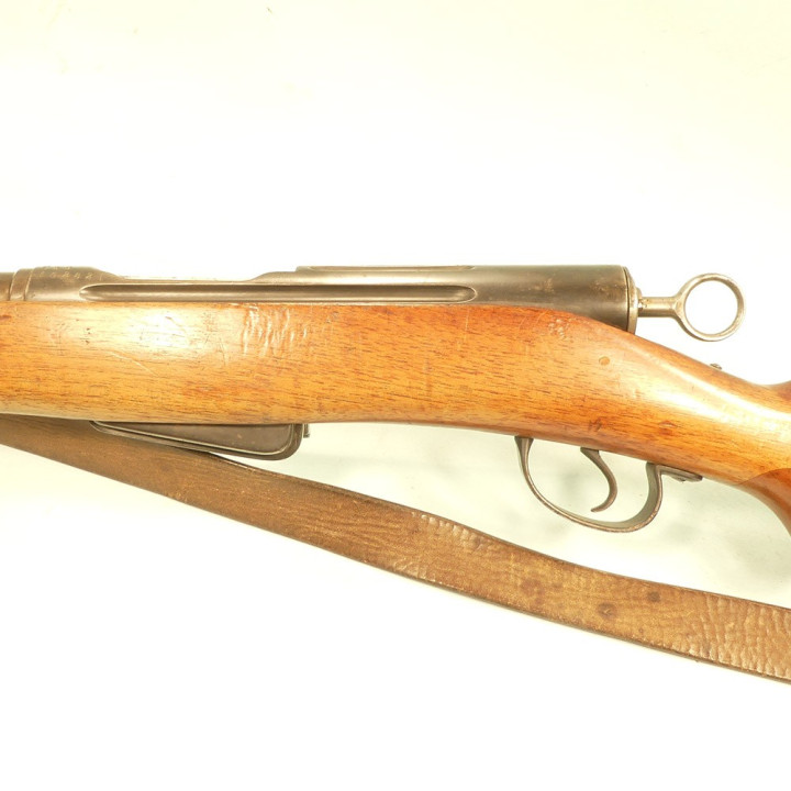 SCHMIDT RUBIN   -  M.1889   22LR
