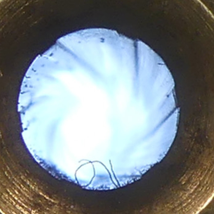 SCHMIDT  RUBIN  22LR