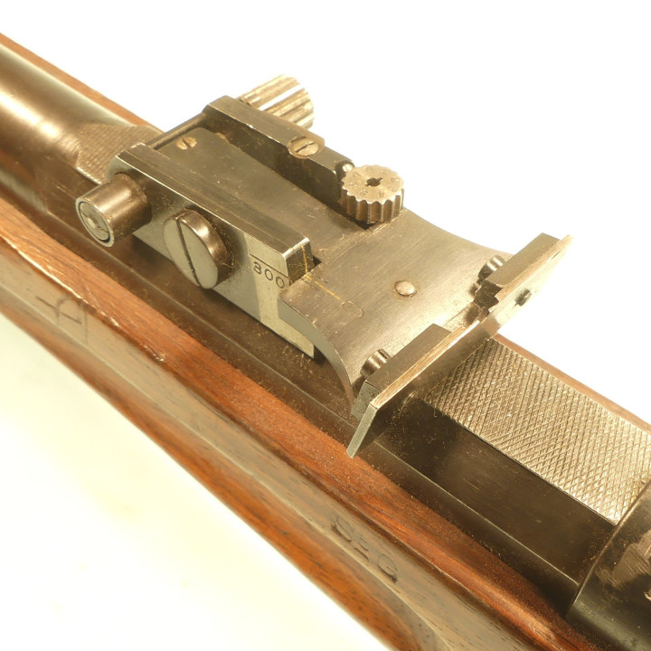 SCHMIDT  RUBIN  22LR