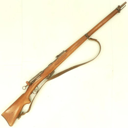 SCHMIDT RUBIN  M.1889            22LR