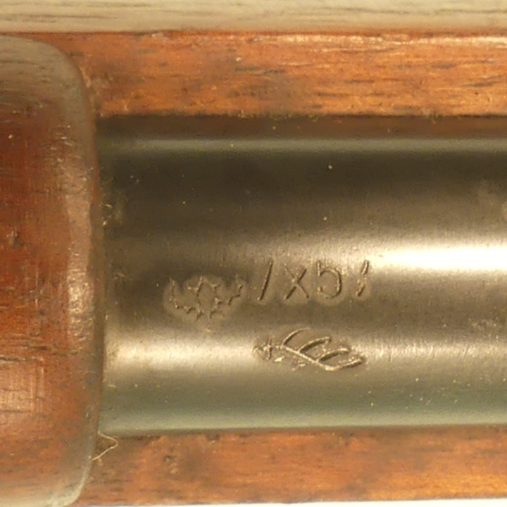 MAUSER  BRESILIEN   1908