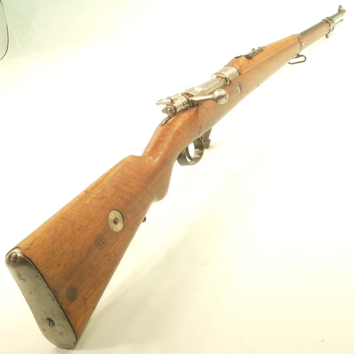 MAUSER  BRESILIEN   1908