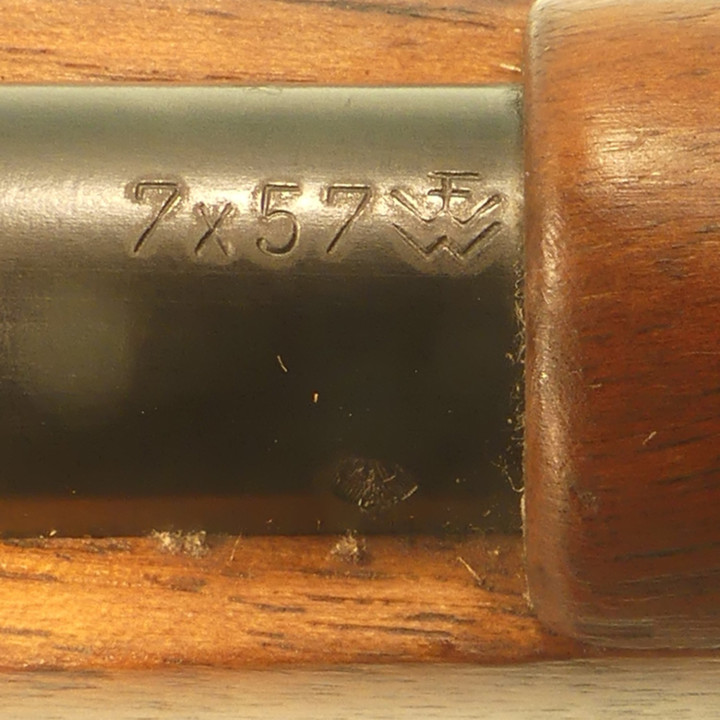 MAUSER  BRESILIEN   1908