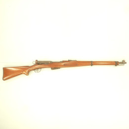 SCHMIDT RUBIN   1896/11     22LR  UN COUP
