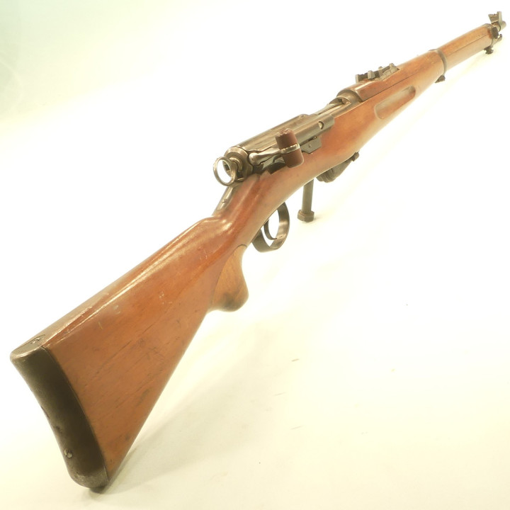 SCHMIDT RUBIN   1896/11     22LR  UN COUP