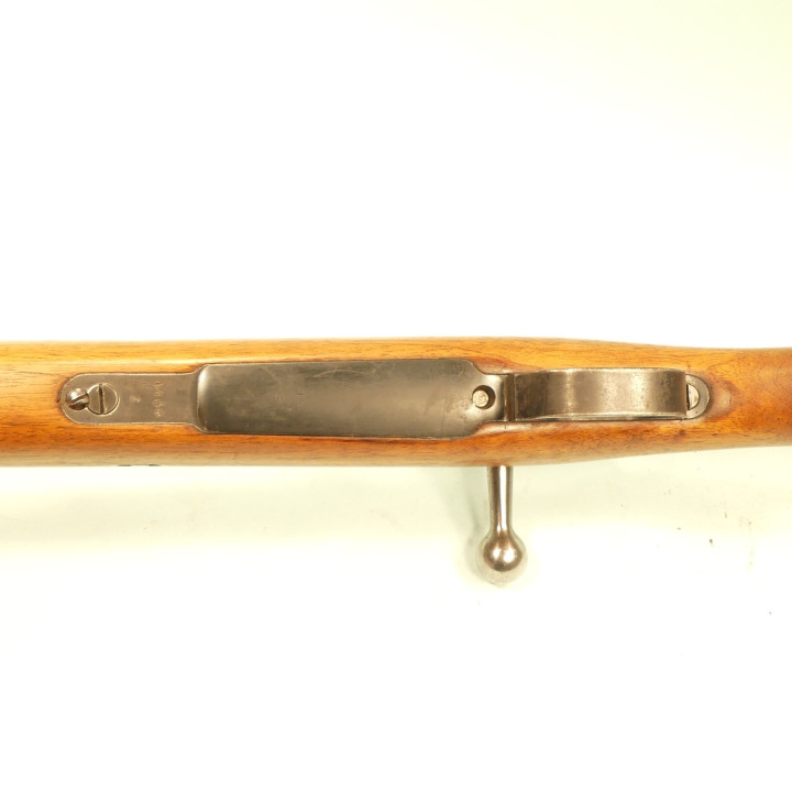 MAUSER  BRESILIEN   1908