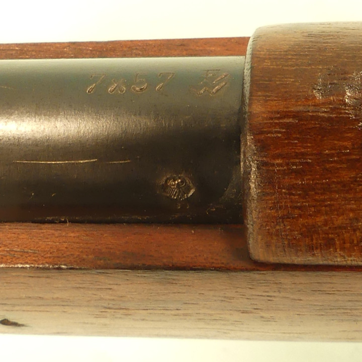 MAUSER  BRESILIEN   1908