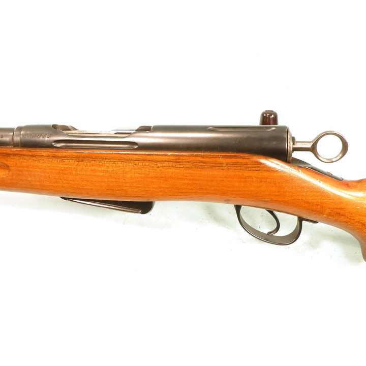 SCHMIDT RUBIN   G11      22lr A UN COUP