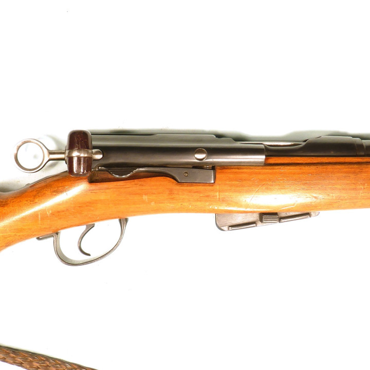 SCHMIDT RUBIN   G11      22lr A UN COUP