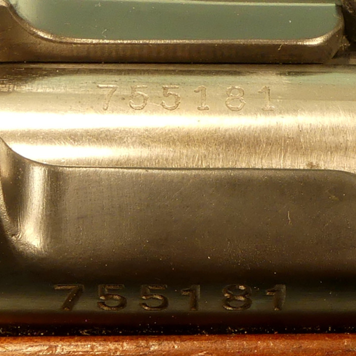 SCHMIDT RUBIN   K31     + DIOPTRE